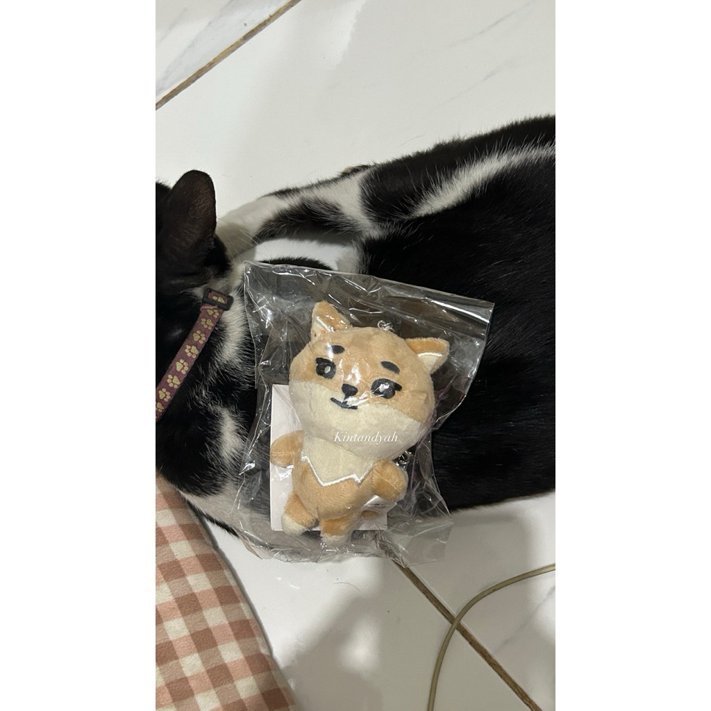 DAY6 DENIMALZ KKE FY JAPAN 2025 (OFFICIAL)