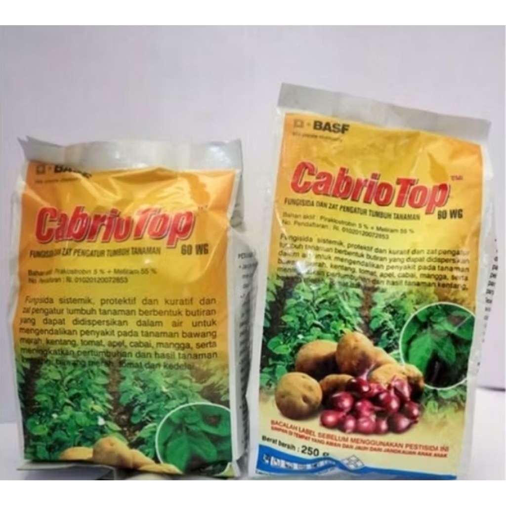 CABRIO TOP 250 GRAM