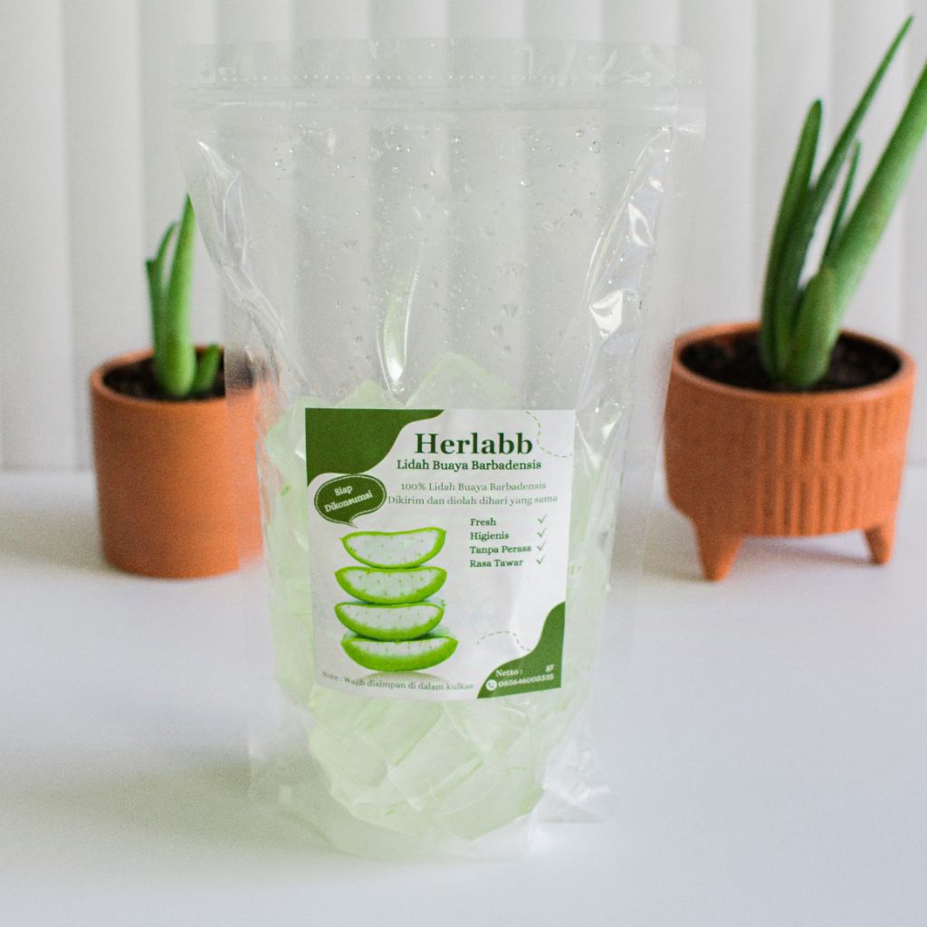 

700 gr Lidah Buaya Kupas Barbadensis Obat Herbal Maag Asam Lambung Gerd Fresh