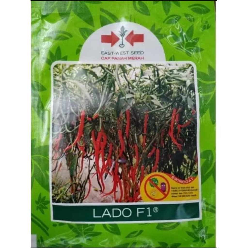 benih cabe keriting LADO F1