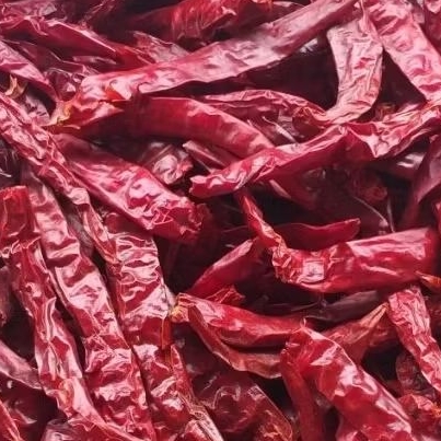 

klanting jawa, cabe kering