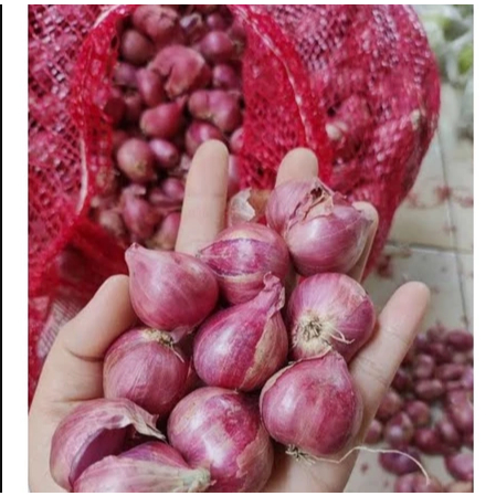 

Bawang Merah Super 1 Kg Ukuran Besar Pilihan