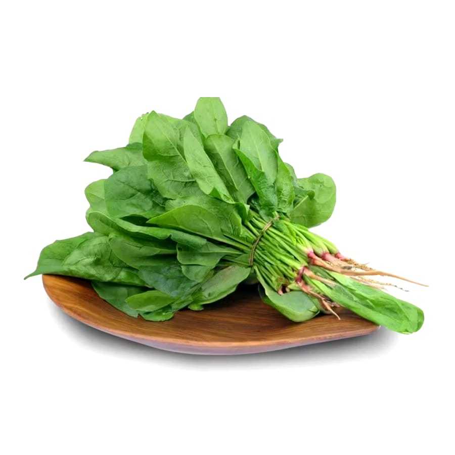 

BAYAM FRESH / BAYARM SEGAR READY TIAP HARI / Bayam Jepang - Fresh and Healthy Greens