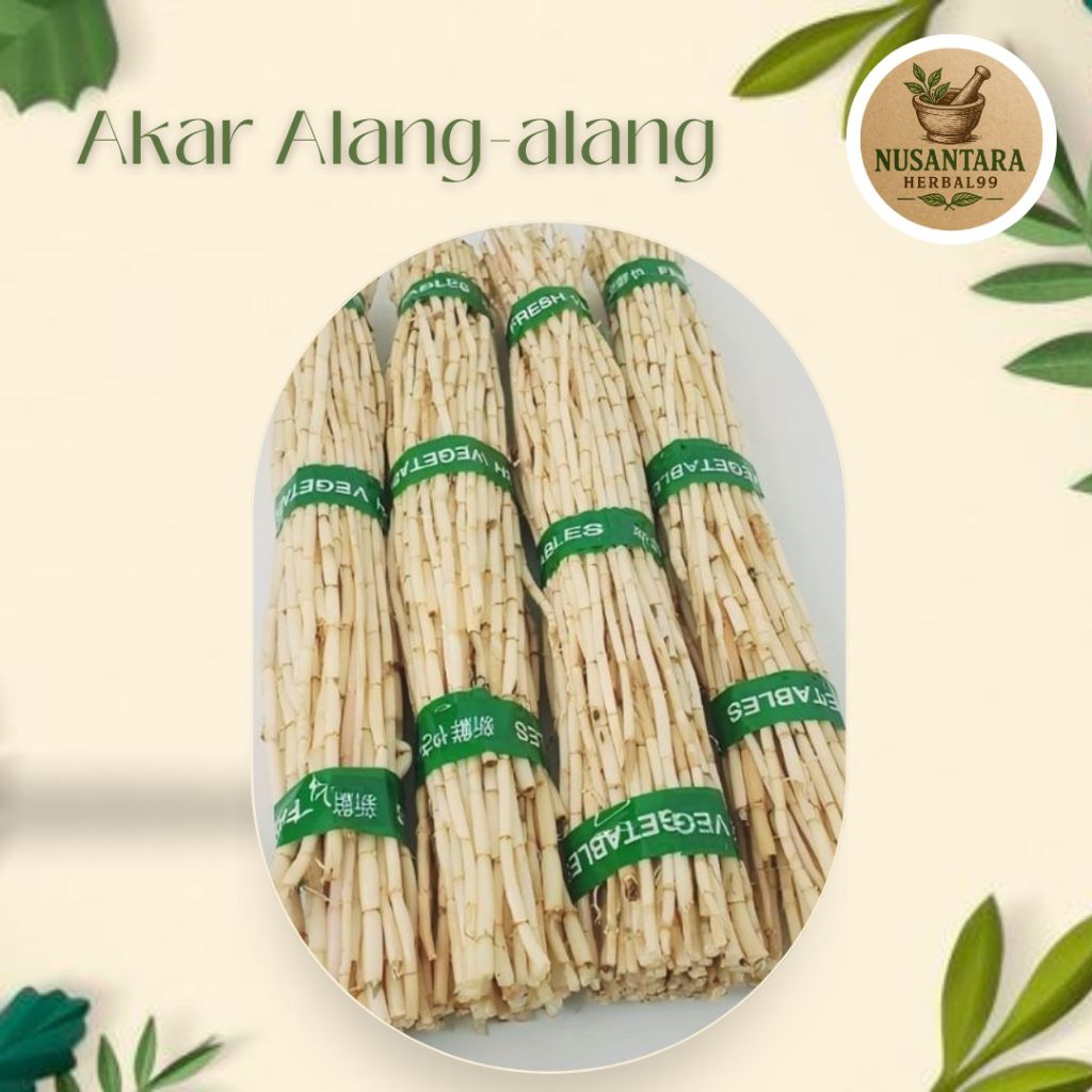 

Akar Alang-alang fresh 1kg