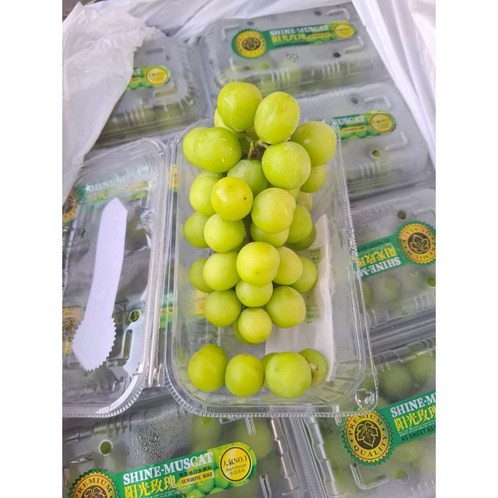 

Anggur Shine Muscat pack 500gr (INSTAN)