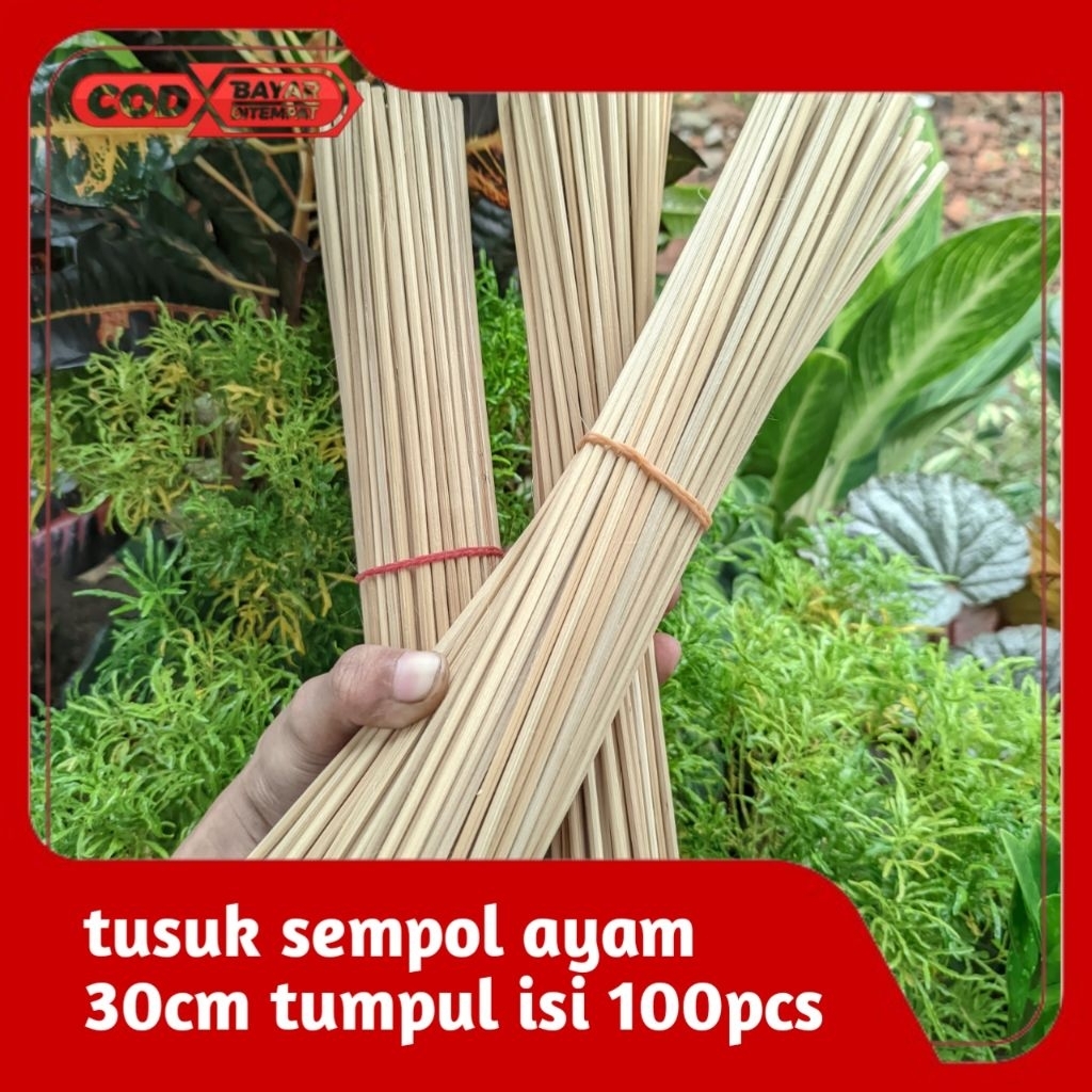 Tusuk Sate | Tusuk Sempol | Tusuk Sate 30cm | tumpul isi 100pcs