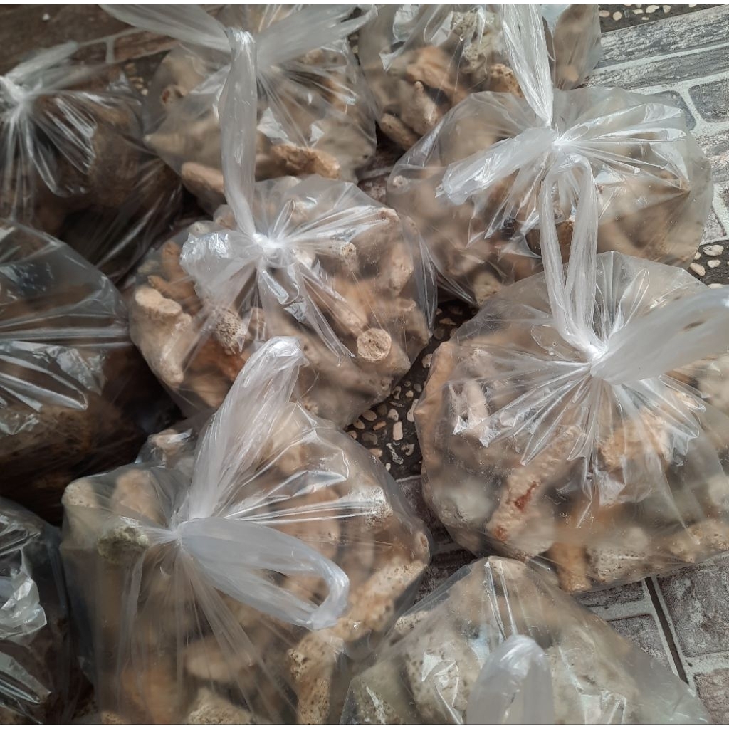 Media Filter Karang Jahe 1kg