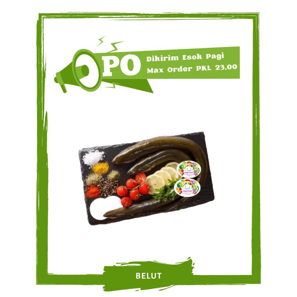 

Ikan Belut / Ikan Segar PO Mallahrizwa