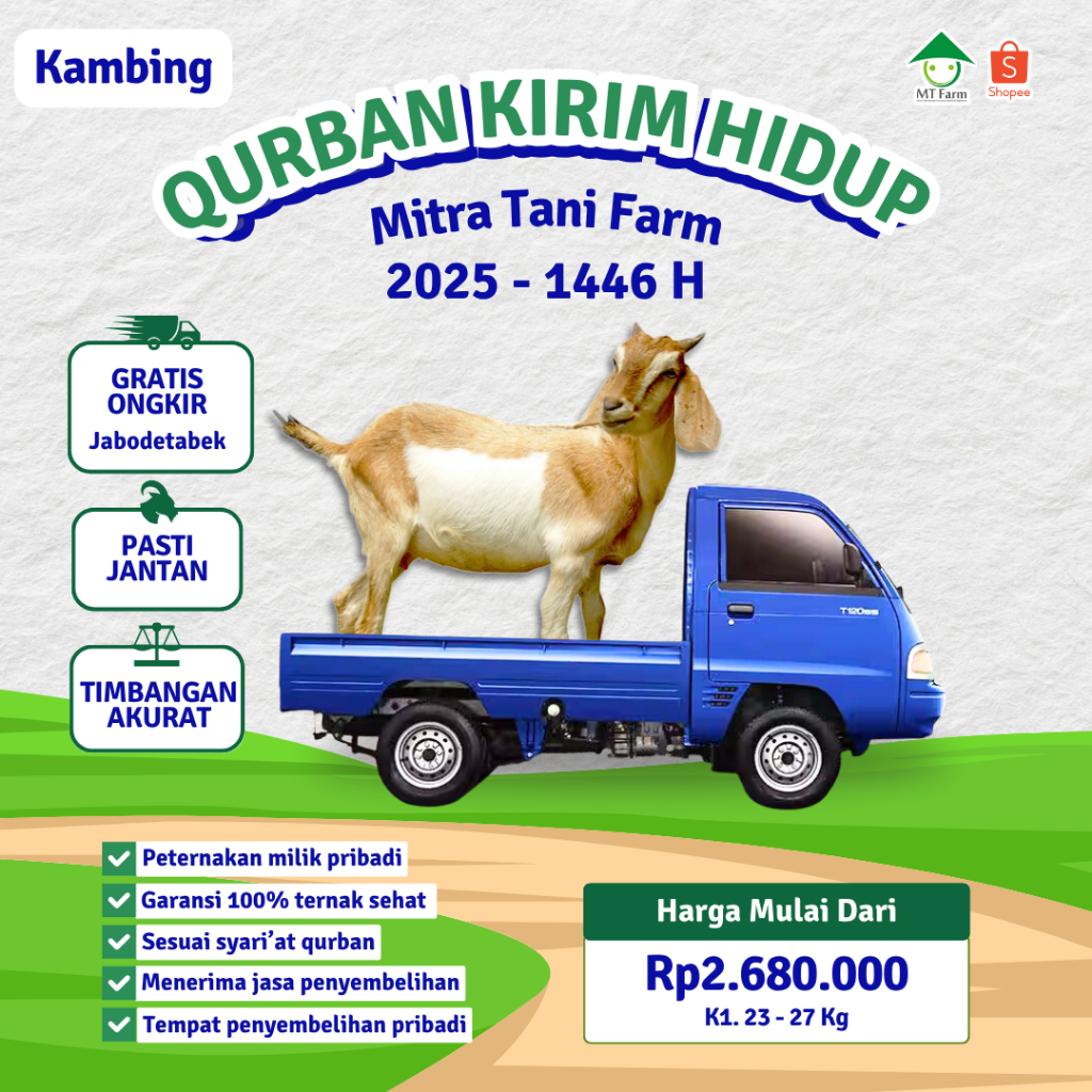 Kambing Hidup Qurban Jantan Kurban MT Farm