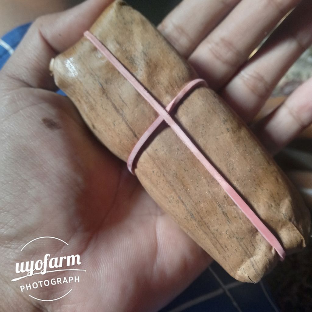 

terasi udang Lasem tradisional