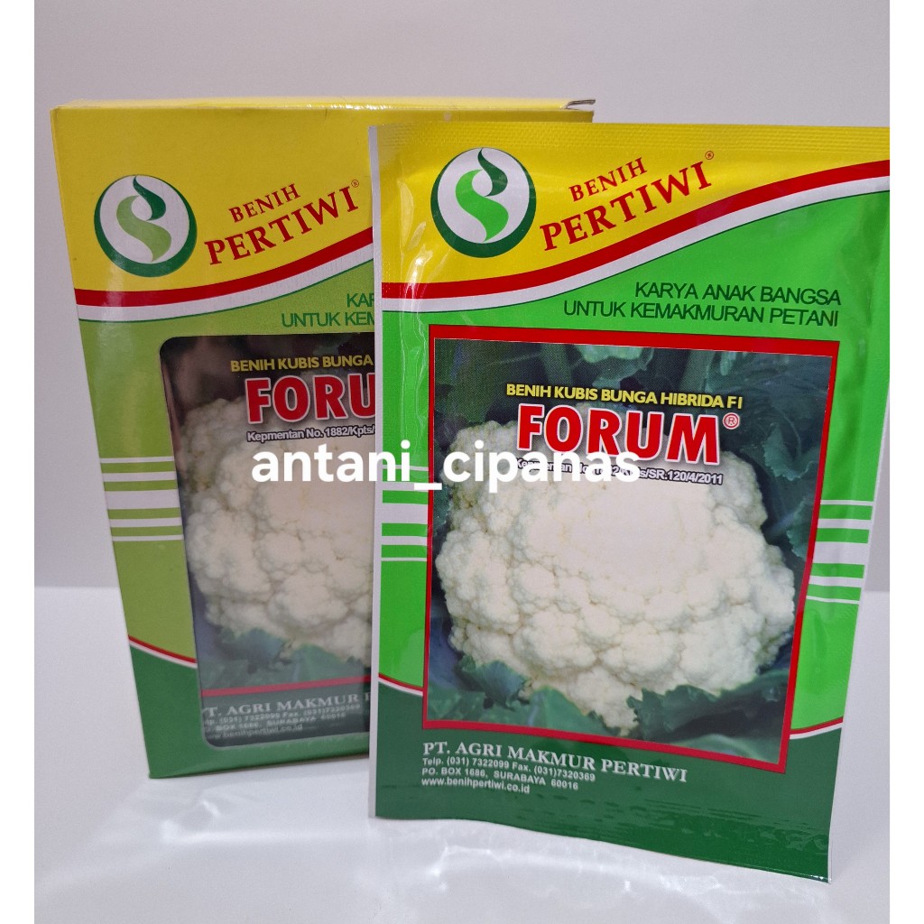 Benih Bunga Kol FORUM PERTIWI 10GR