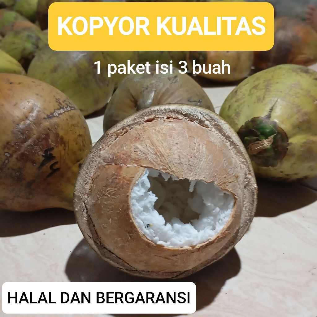 

kopyor kualitas tinggi 1 paket isi 3 buah, fresh dan bergaransi