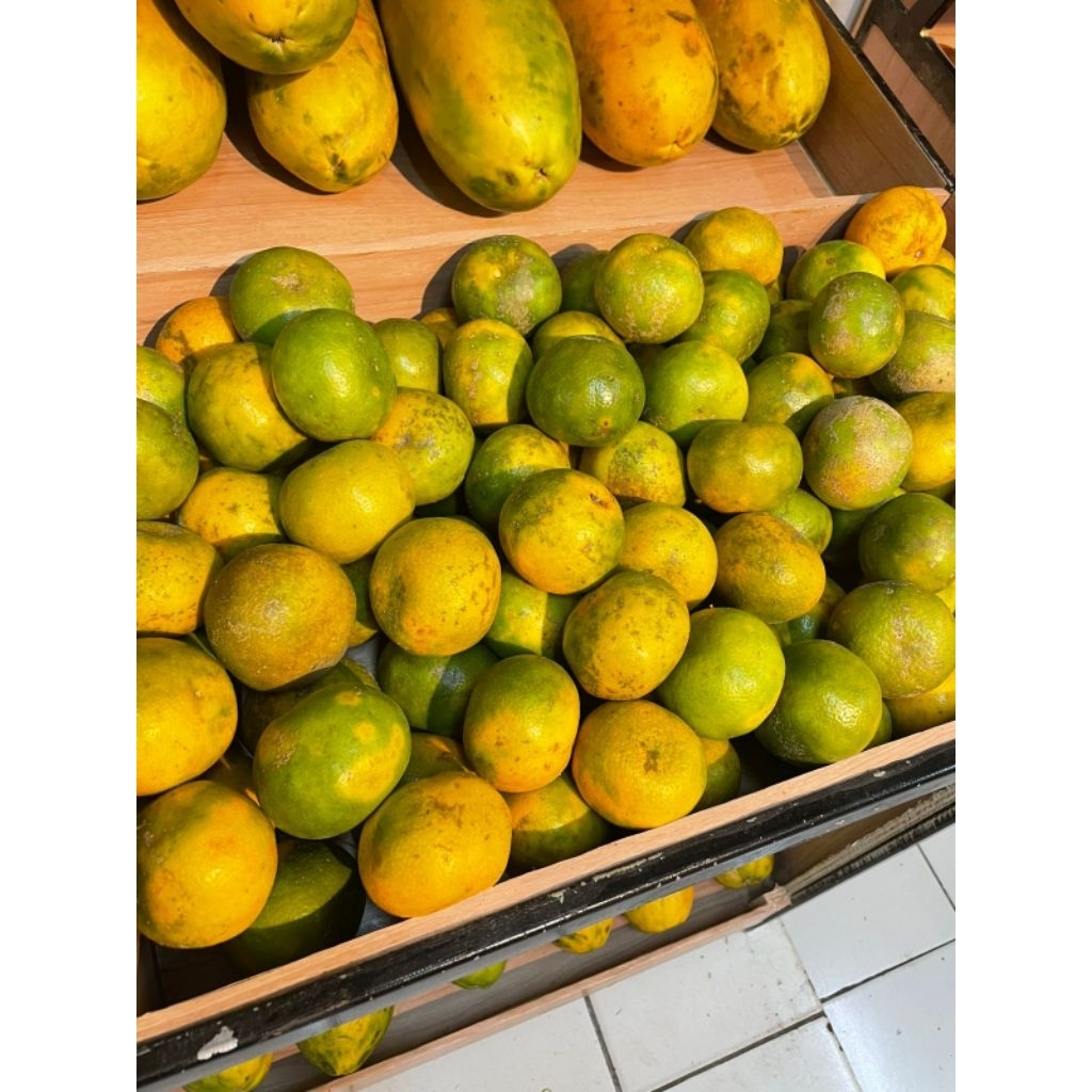 

Jeruk Medan Manis Ukuran Sedang Banyak Mengandung Vitmani C