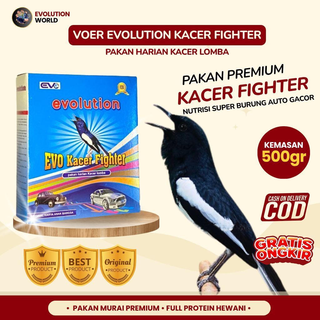 VOER BURUNG KACER I EVO KACER FIGHTER I VOER HARIAN LOMBA KACER I EVOLUTION BIRDFOOD