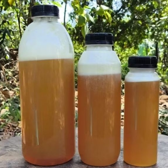 

330gram madu kaliandra asli, madu murni tanpa campuran, madu alami 100%, madu kaliandra murni, madu sehat keluarga, madu alami untuk stamina, madu herbal alami, madu kaliandra ahmad honey, madu premium asli, madu ternak berkualitas