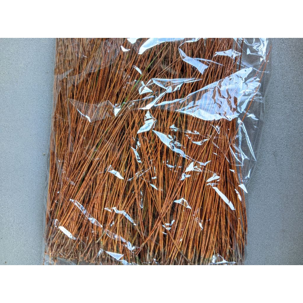 

daun pinus kering harga per 1 kg untuk sarang burung