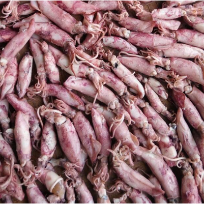 

`Cumi Asin | JBP_Fresh