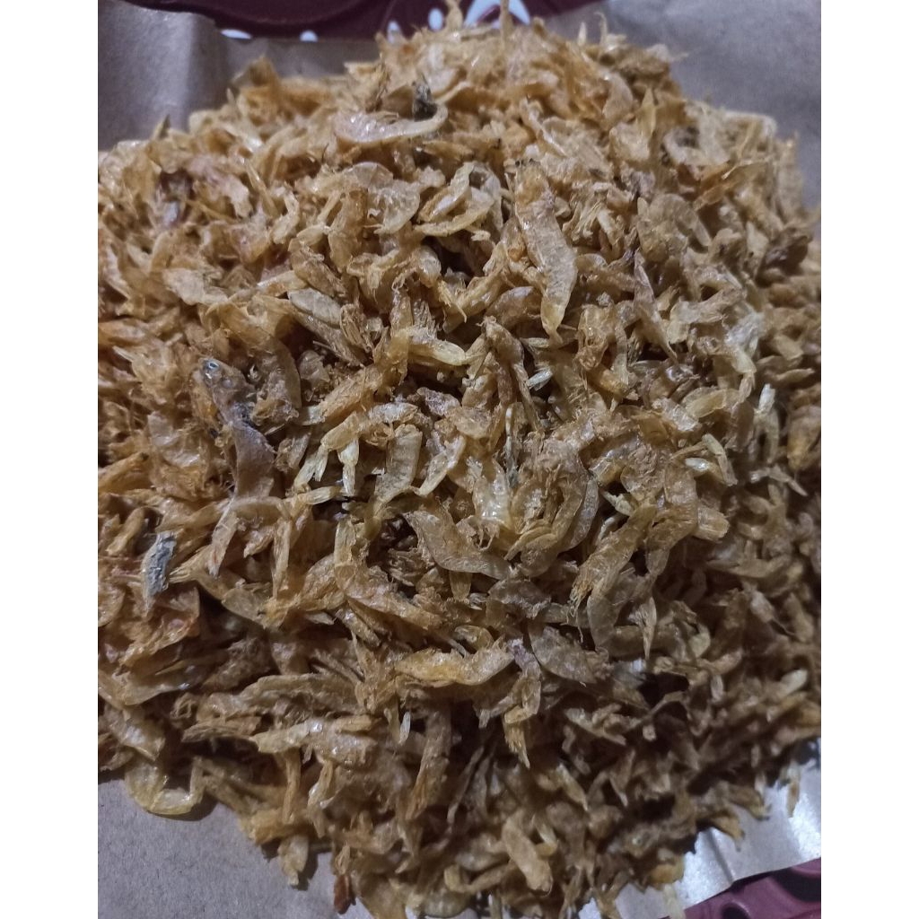 

udang rebon asin 100 gram