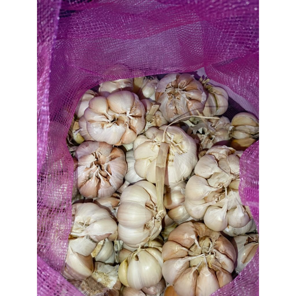 

Bawang Putih Honan/Sinco Fresh bersih kering 500gram TERMURAH