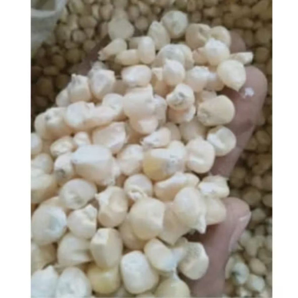 

PROMOOO 1KG JAGUNG PUTIH KETAN PULUT KERING JAGUNG BASSANG