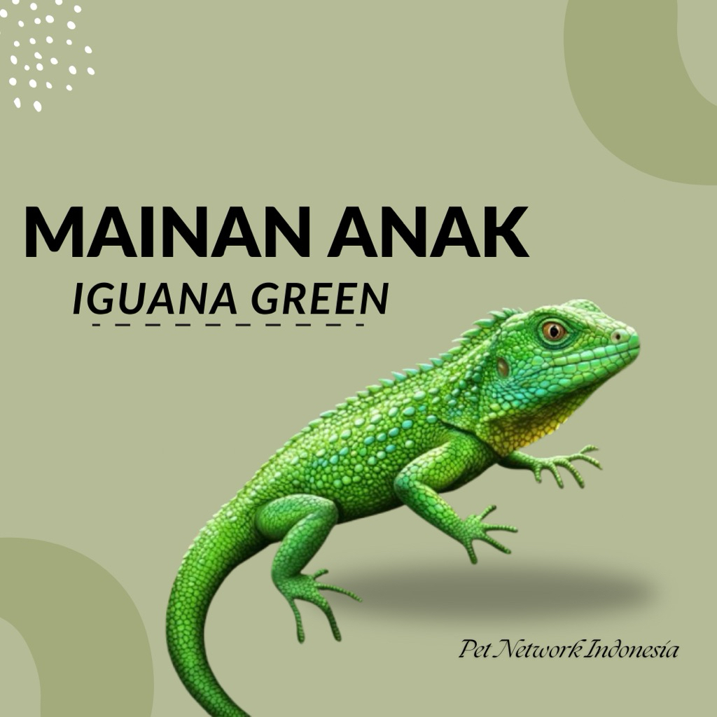 MURAH MAINAN ANAK IGUANA GREEN BABY
