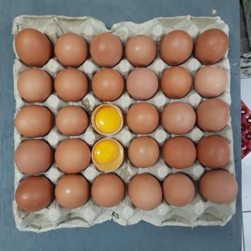 

Telur ayam negri 30 pcs