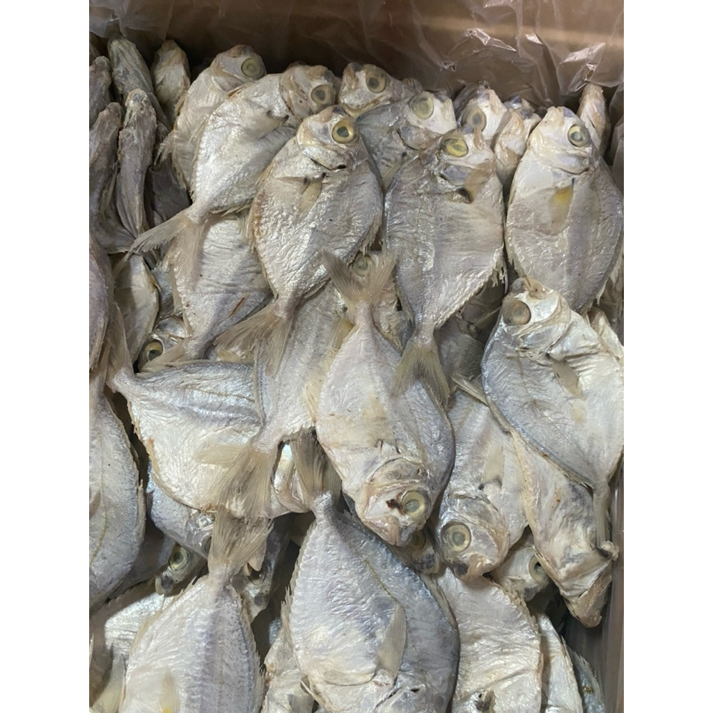 

Ikan Asin Petek 250gr Fresh