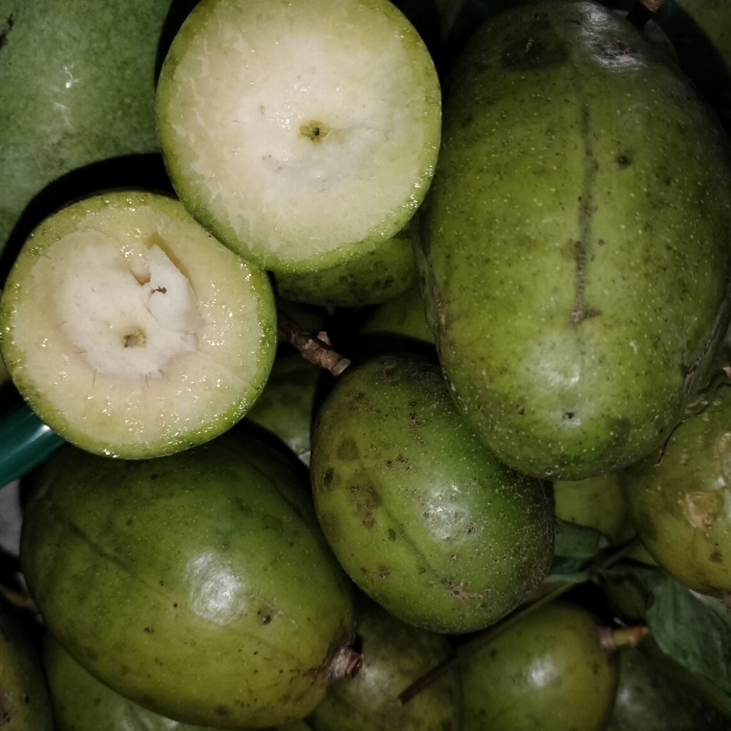 

Kedondong Segar Renyah 500gram