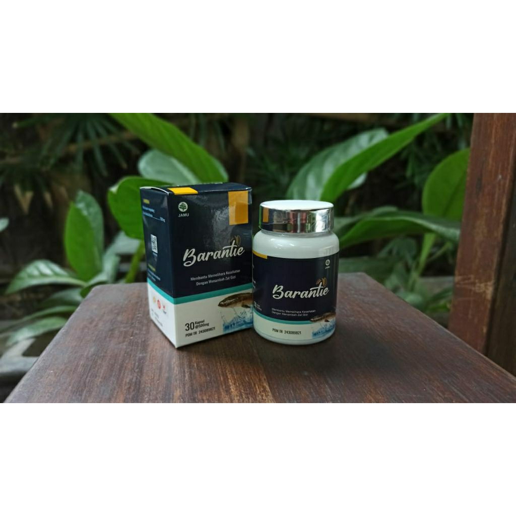 Barantie Kapsul Ikan Gabus