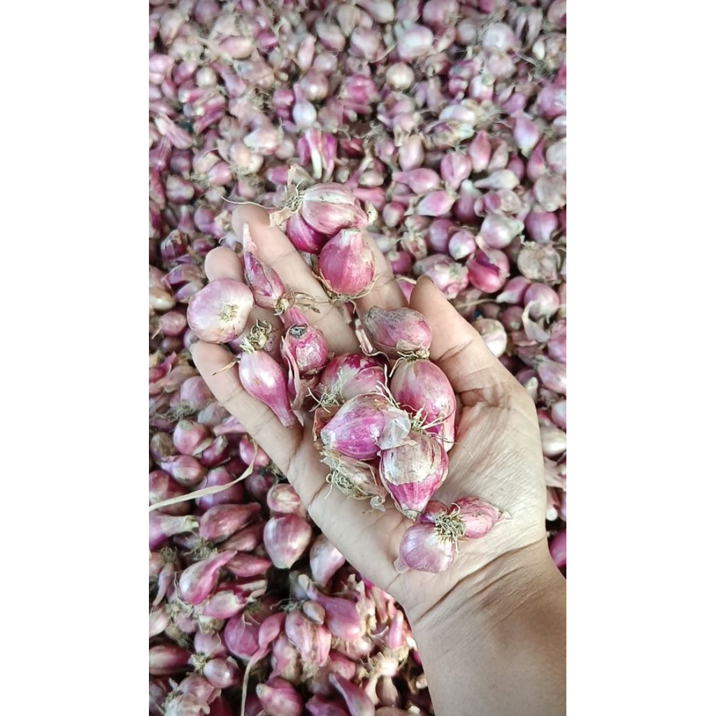 

(1KG) BAWANG MERAH ASLI NGANJUK