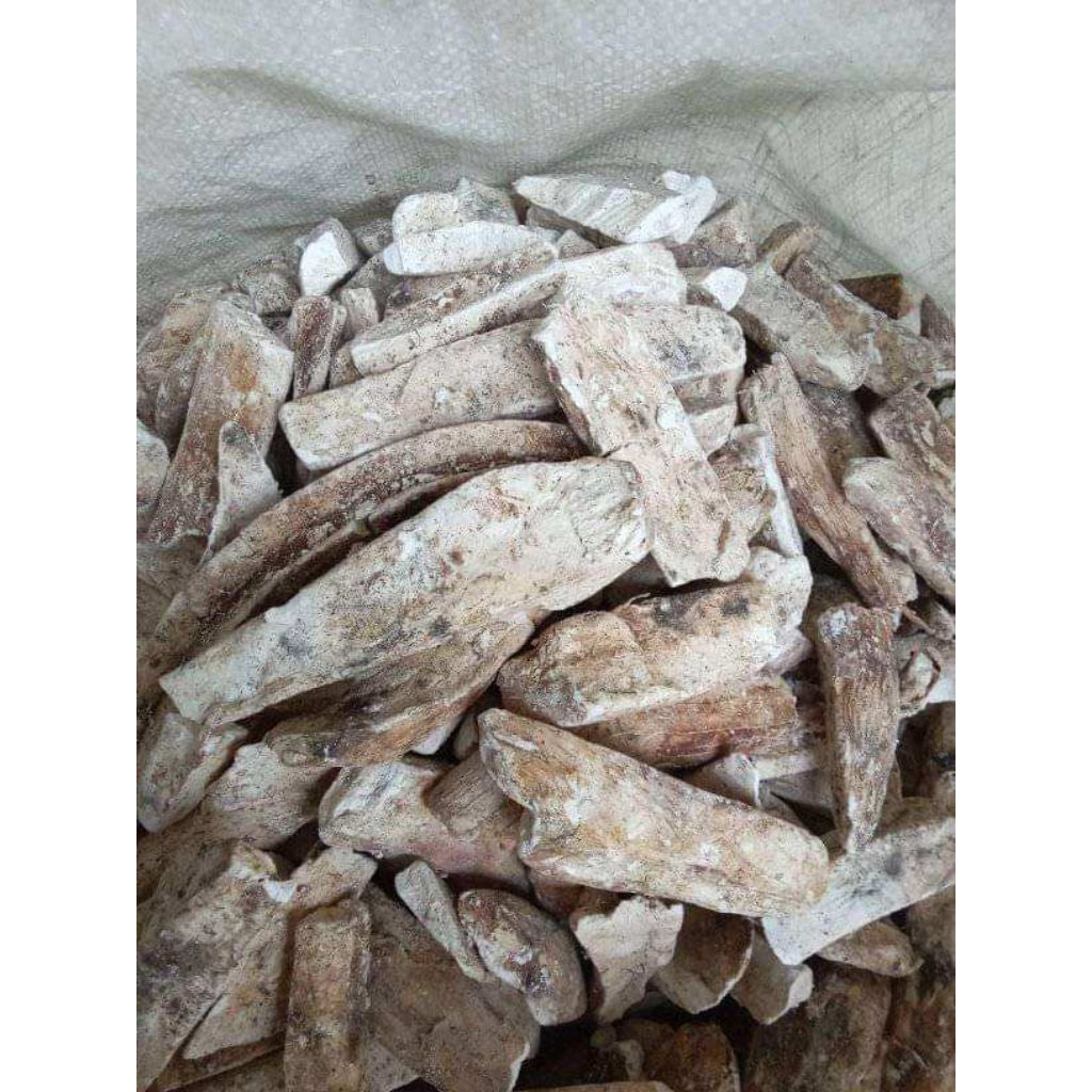 

gaplek telo 1kg / singkong kering / ubi singkong kering