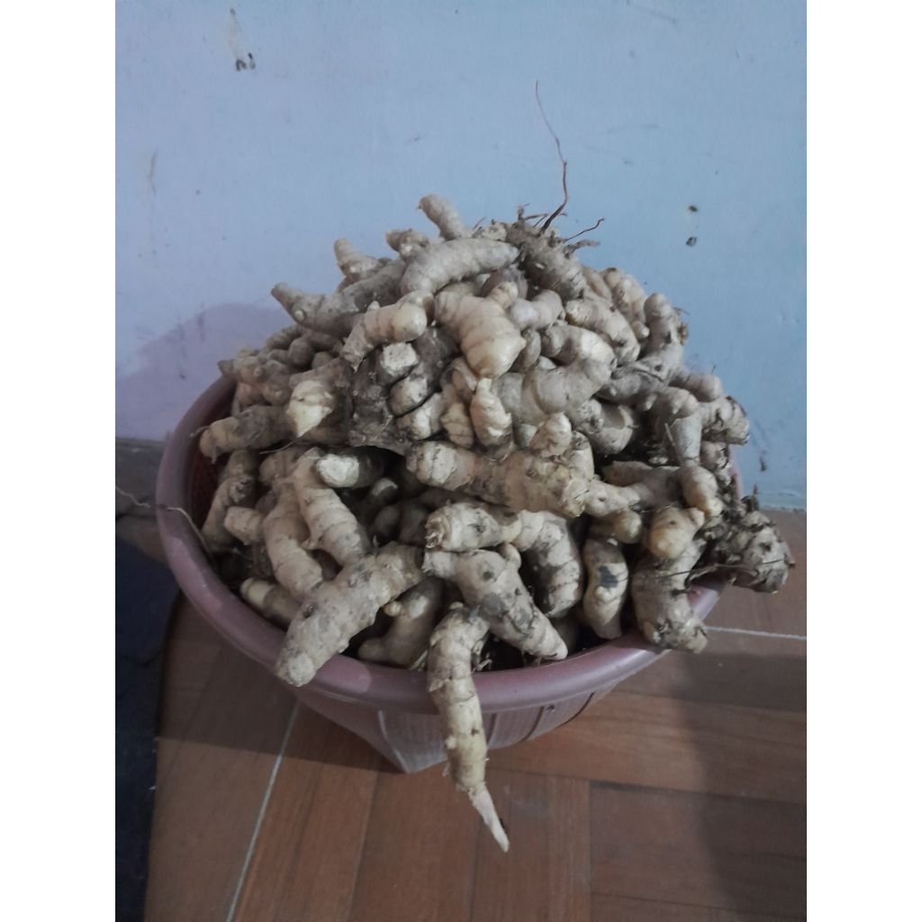 

kunyit putih bagus untuk pencernaan berat1kg