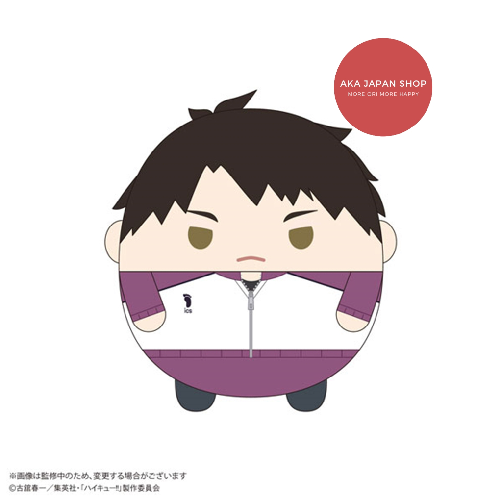 Haikyuu Haikyu Fuwakororin Fuwakororin Plushie Mascot Karasuno Shiratorizawa Hinata Shoyo Tsukishima