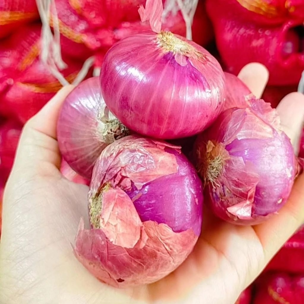

Bawang merah india kering 1kg termurah