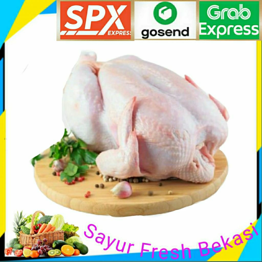 

Ayam Broiler ( 1 ekor ).