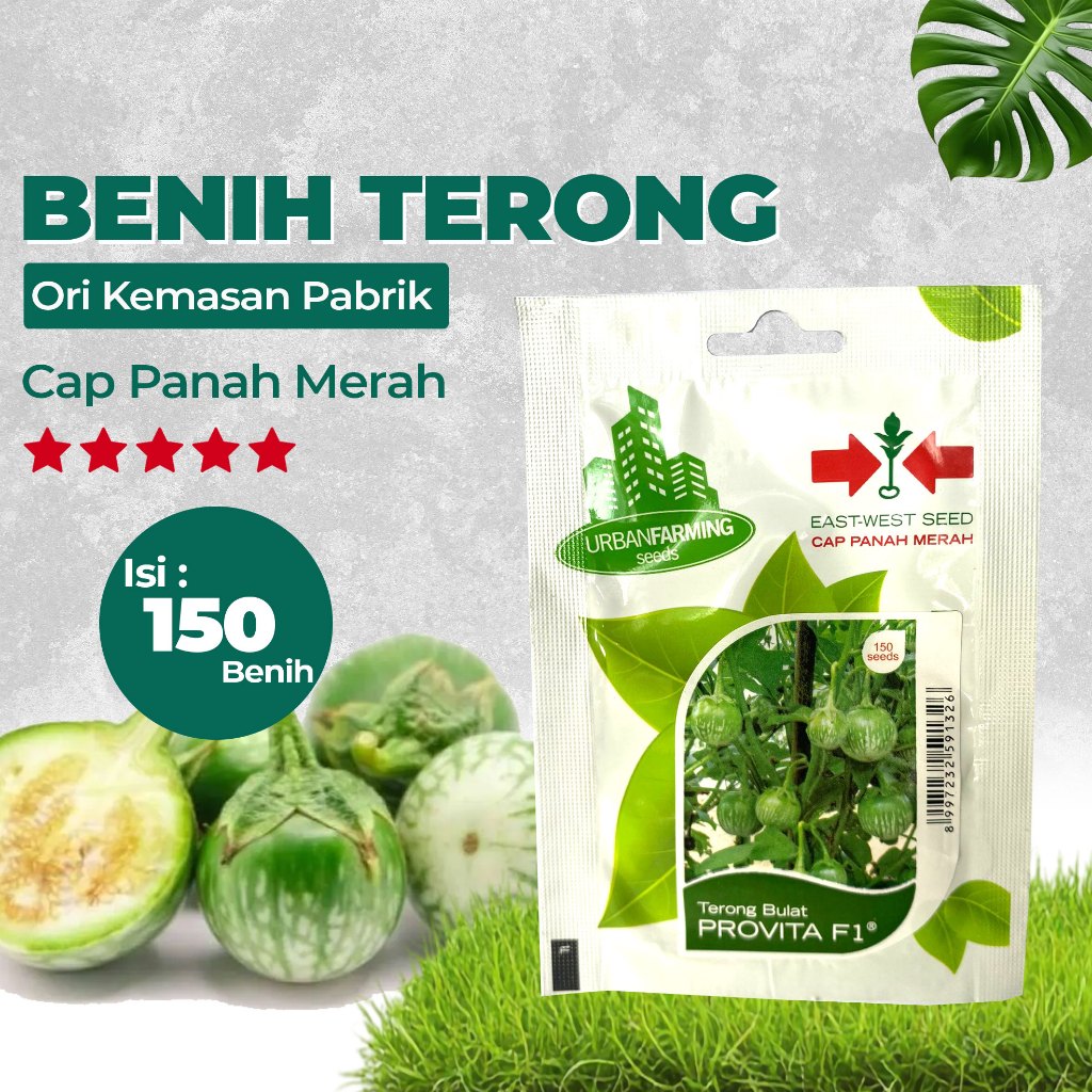 Benih Bibit Terong Lalap 150 Benih Provita F1 Cap Panah Merah PG KDR