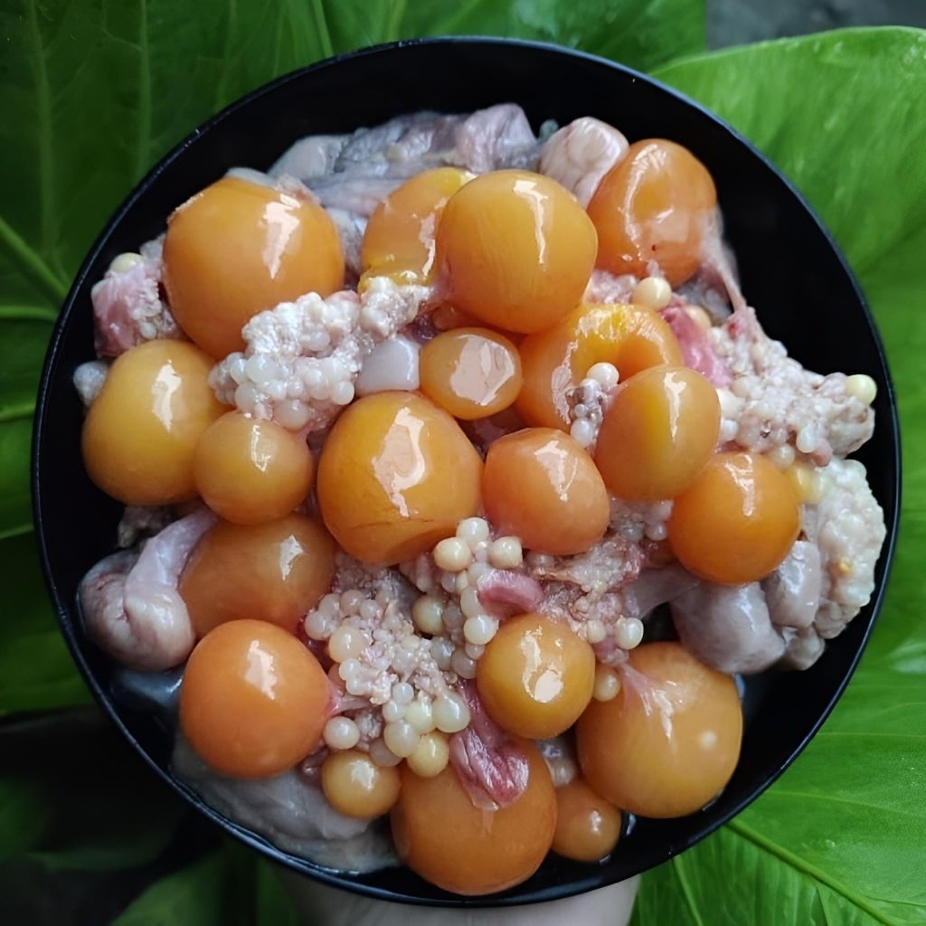 

TELUR AYAM MUDA | TELUR URITAN AYAM 1KG PREMIUM TERMURAH IKAN LAKU IKAN BEKU IKAN SEGAR LANGGANANKU