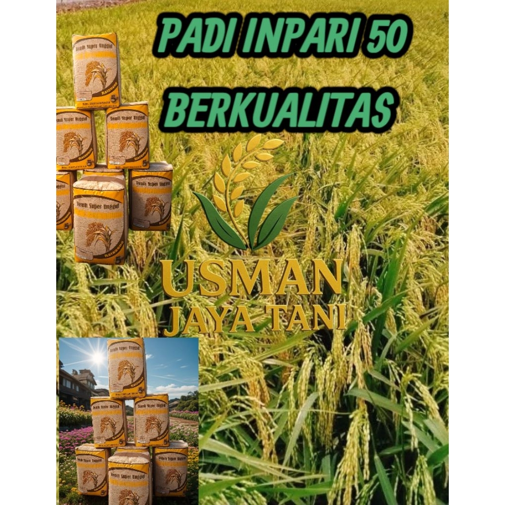 benih padi super unggul varietas Inpari 50 berbobot paket 5kg