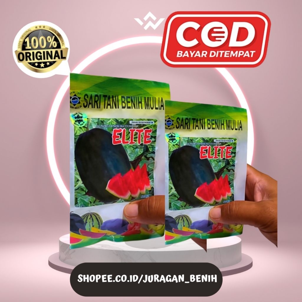 Benih Semangka Lonjong Ellite F1 ±300 Biji Corak Buah seperti JUVE Bobot UP 9kg