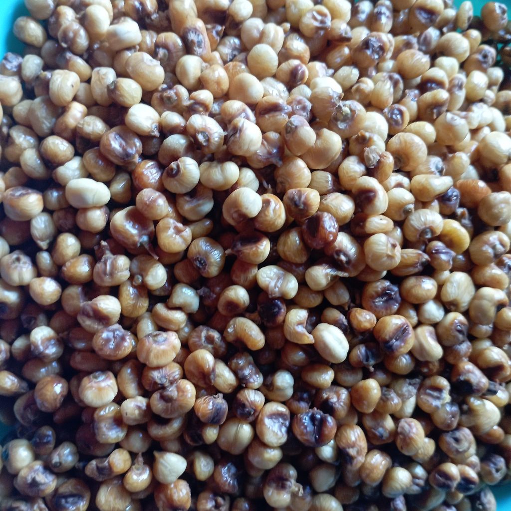 

MARNING JAGUNG RENYAH GURIH ENAK