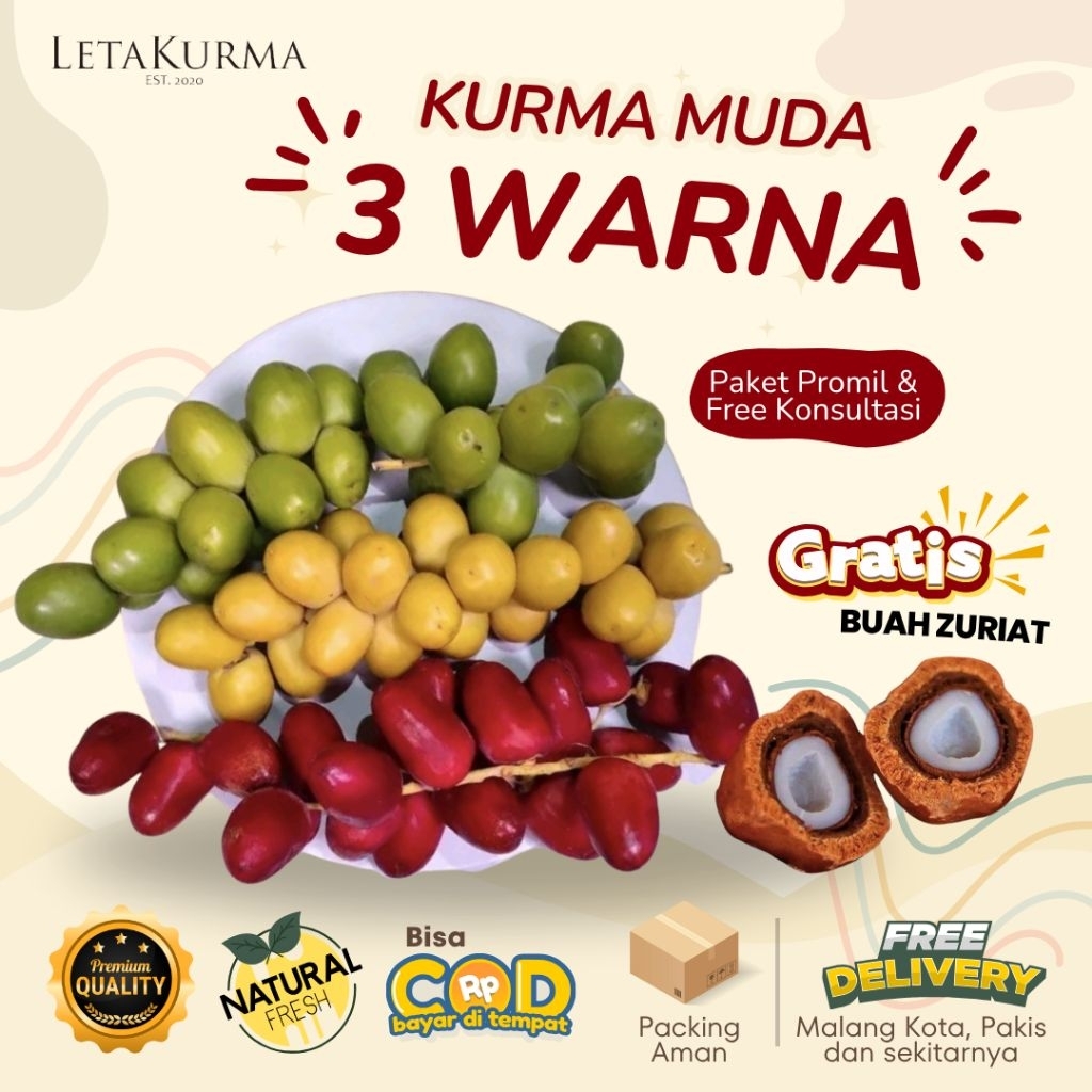 

KURMA MUDA 3 WARNA FRESH No FROZEN Buah Mengkel !! / Kurma Promil & Kesehatan