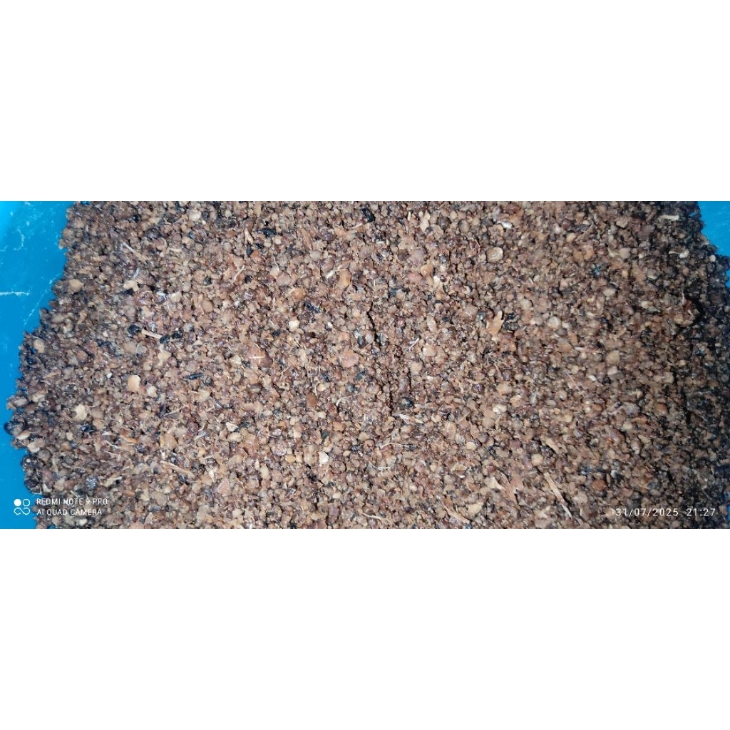 

Nasi oyek atau Tiwul