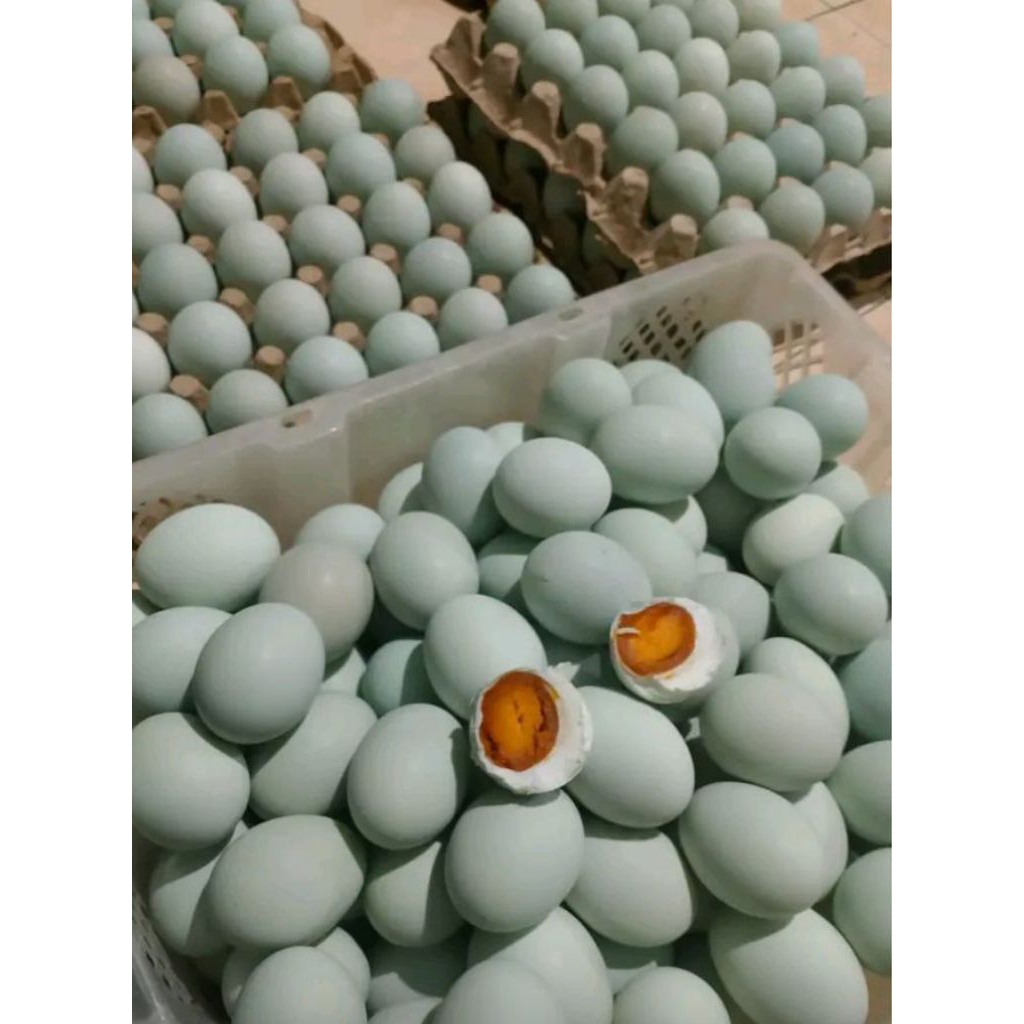 

telur asin 10 butir matang siap konsumsi