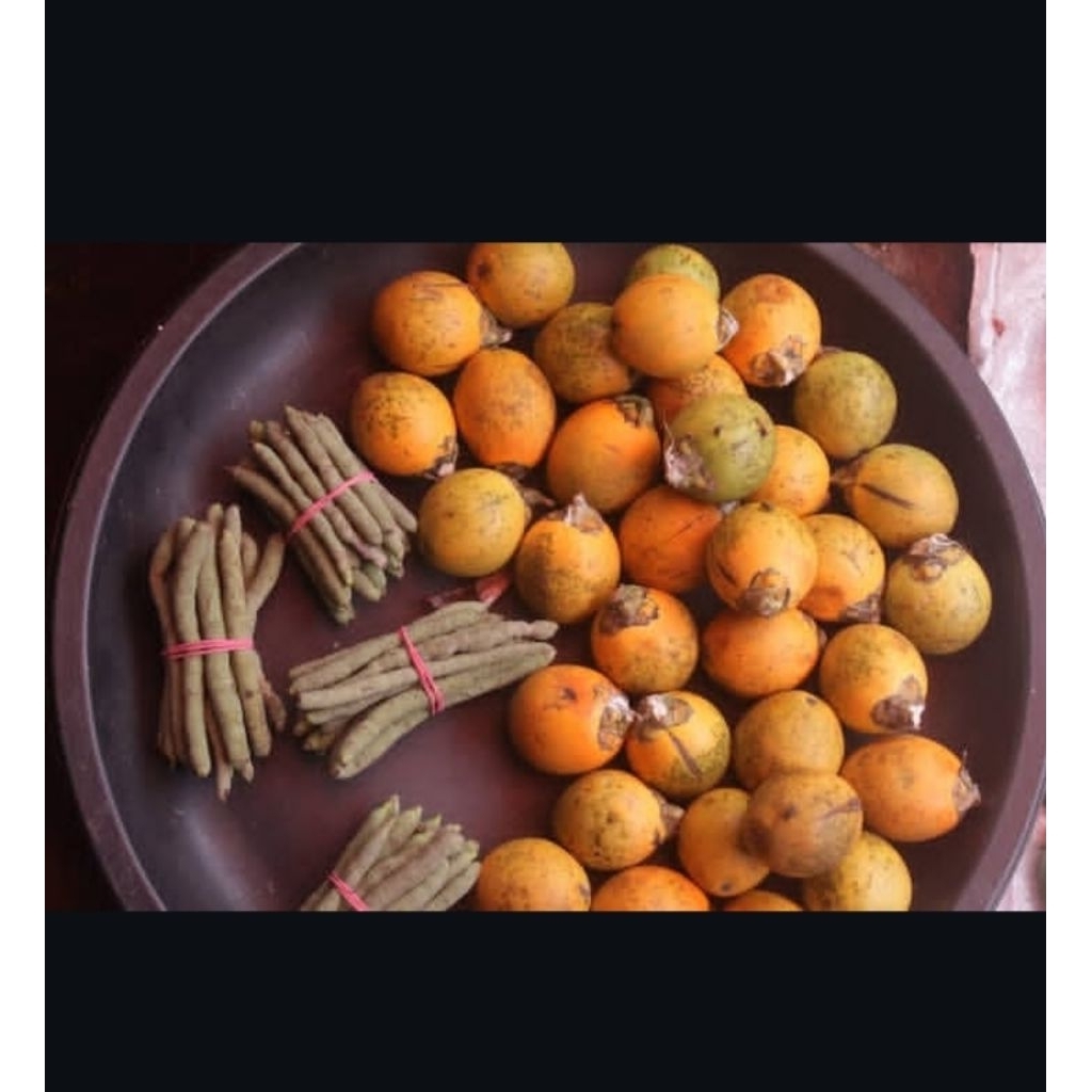 

PROMO BUAH PINANG TUA