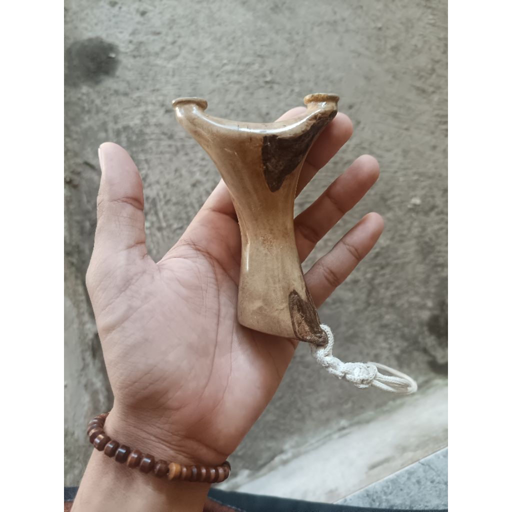 ketapel cagak kayu jambu air