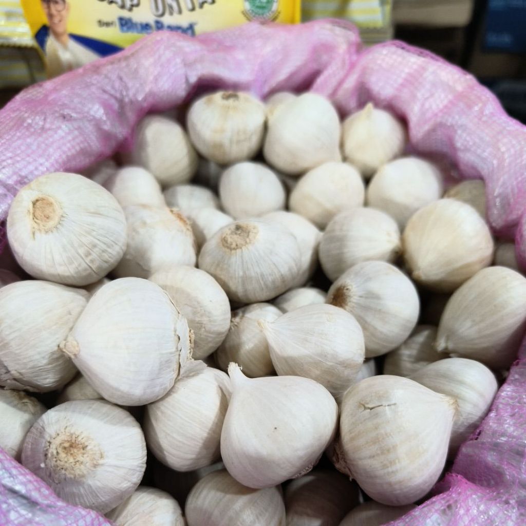 

Bawang putih tunggal