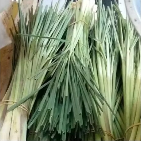 

Daun sreh 250gr/500grm