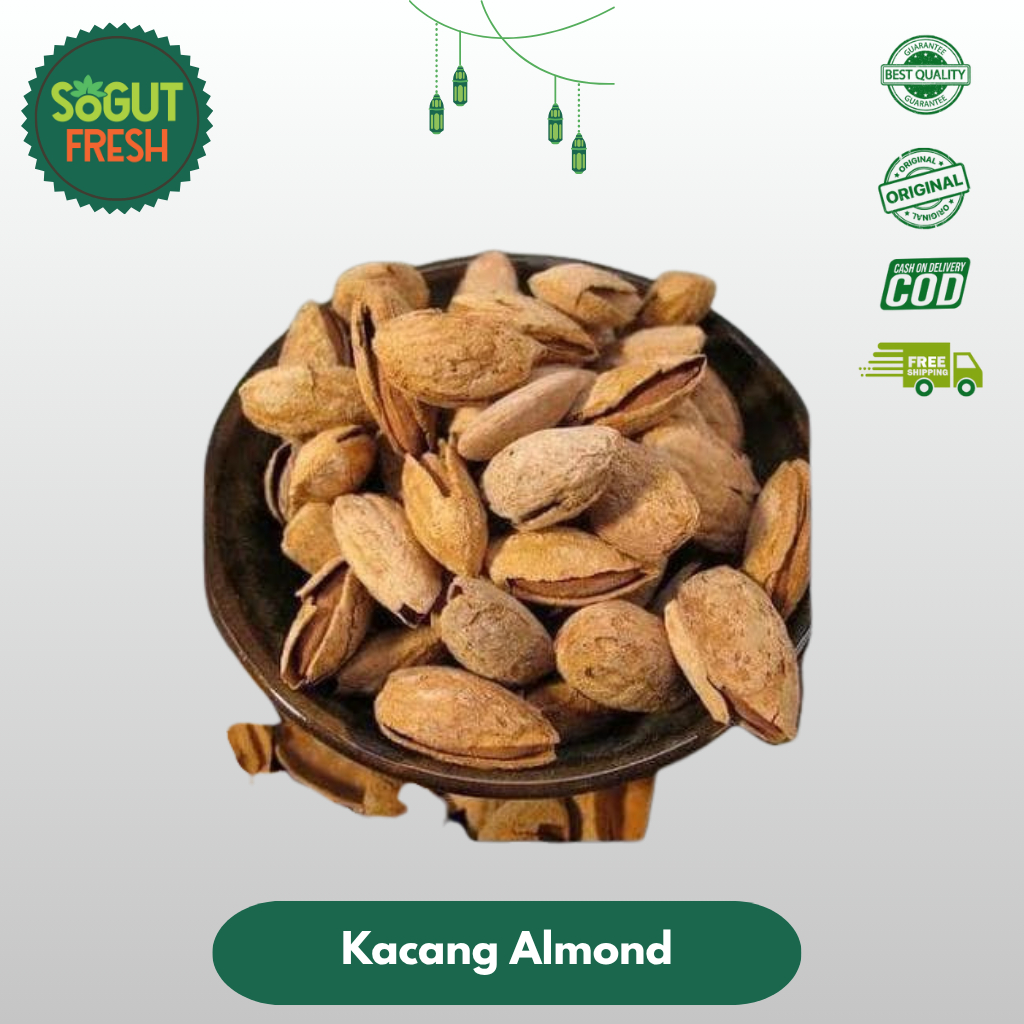 

Sogut Fresh Almond Roasted / Kacang Almond Panggang With Milk ,KULIT / CANGKANG 1 kg Cemilan Sehat Oleh Oleh Haji dan Umroh