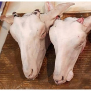 

Kepala Kambing | JBP_Fresh