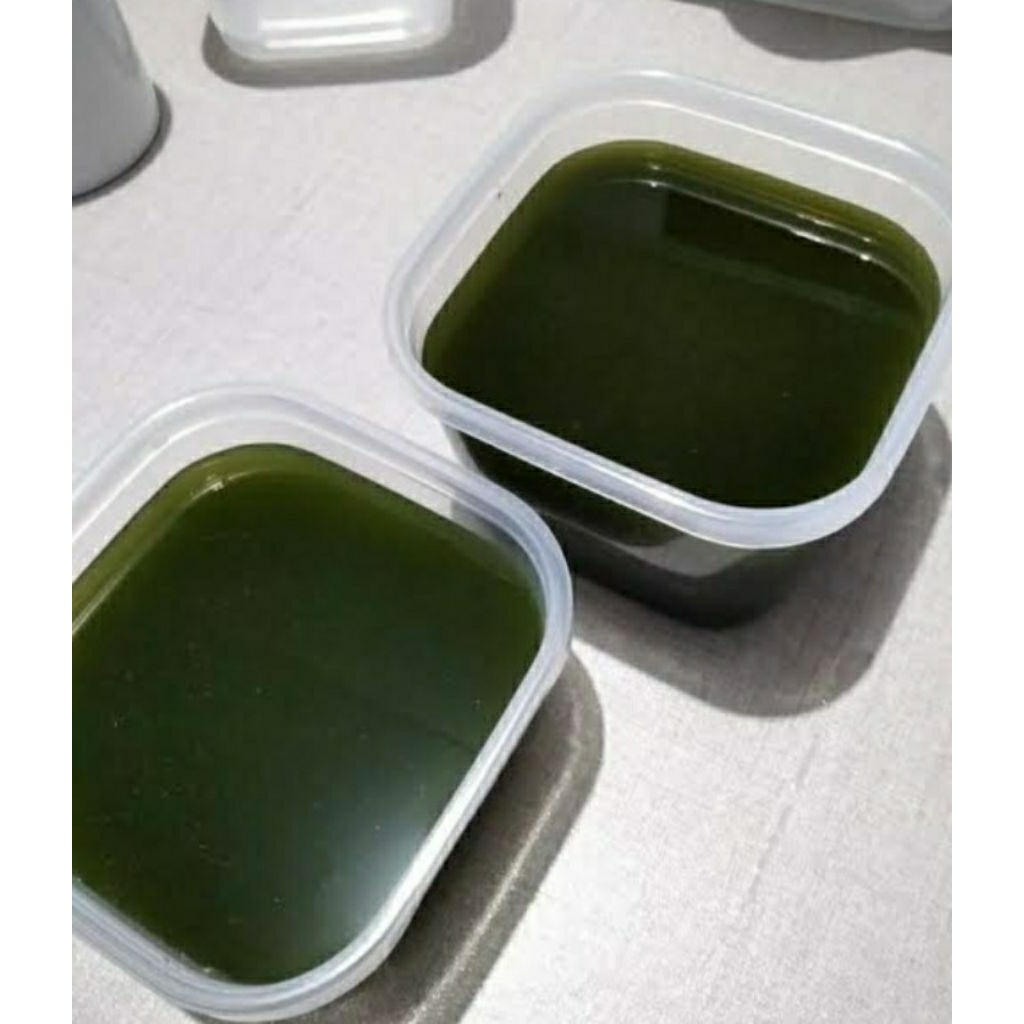 

Daun Cincau Bulu Fresh Bermanfaat untuk Kesehatan per 100 lembar .